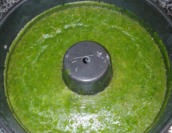Pudim de Espinafres e Ricotta